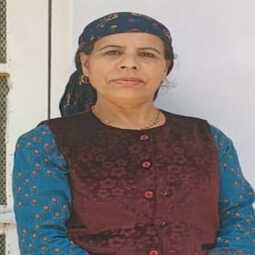 Veena